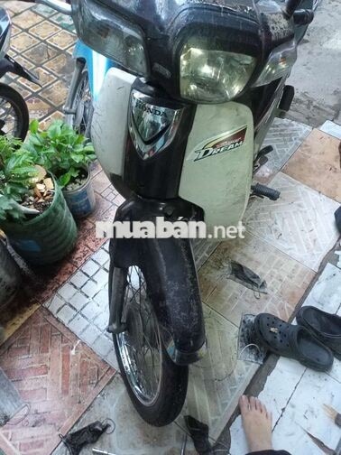 Honda Dream 2014 màu đen trắng