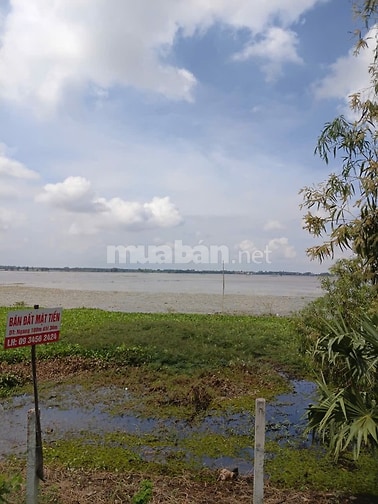 Bán 21.000m2 Đất nông nghiệp, Lô nhì Quốc Lộ 91, Tịnh Biên, An Giang