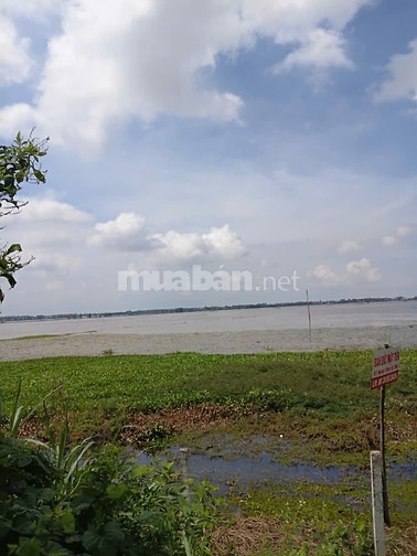 Bán 21.000m2 Đất nông nghiệp, Lô nhì Quốc Lộ 91, Tịnh Biên, An Giang