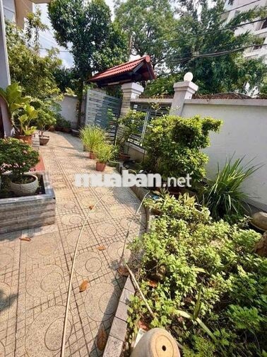 Giá thuê : 20 Triệu Biệt Thự Tân Tạo , Bình Tân  - ngang 12,5m dài 20m