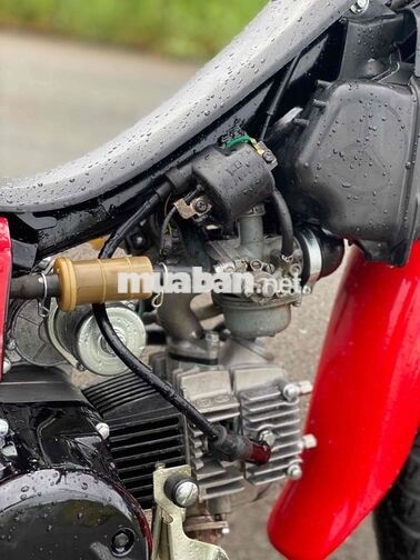 XE MÁY HALIM 50CC ĐỎ ĐEN