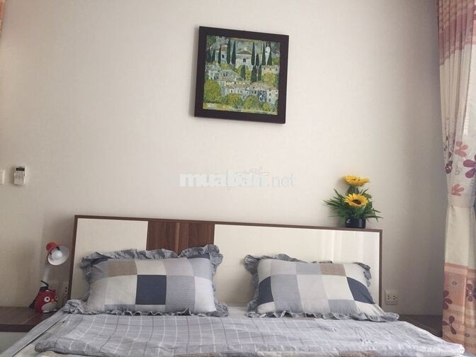 Bán căn hộ chung cư 109 Nguyễn Biểu, Q5, 50m2, 2pn, 2.85 tỷ, sổ hồng
