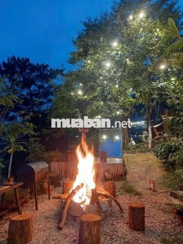 🌿CHỈ 570 TRIỆU/1.000m² – SỞ HỮU VƯỜN XANH VIEW SÔNG HỒ TRỊ AN - LA NGÀ