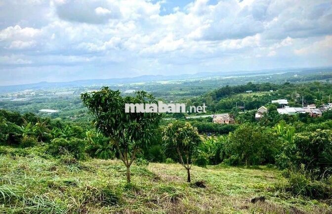 🌿CHỈ 570 TRIỆU/1.000m² – SỞ HỮU VƯỜN XANH VIEW SÔNG HỒ TRỊ AN - LA NGÀ
