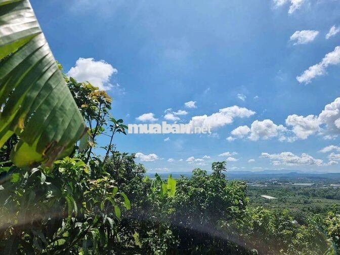 🌿CHỈ 570 TRIỆU/1.000m² – SỞ HỮU VƯỜN XANH VIEW SÔNG HỒ TRỊ AN - LA NGÀ