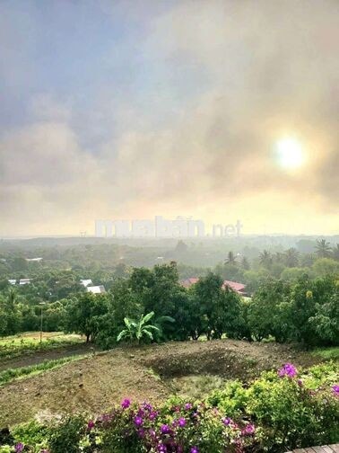 🌿CHỈ 570 TRIỆU/1.000m² – SỞ HỮU VƯỜN XANH VIEW SÔNG HỒ TRỊ AN - LA NGÀ