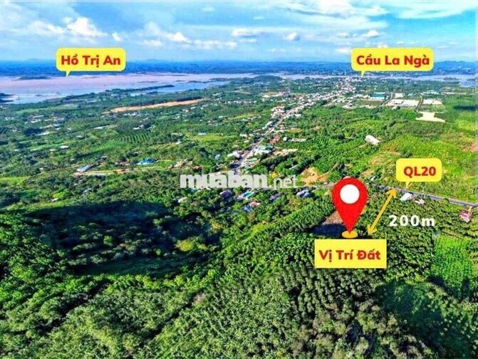 🌿CHỈ 570 TRIỆU/1.000m² – SỞ HỮU VƯỜN XANH VIEW SÔNG HỒ TRỊ AN - LA NGÀ