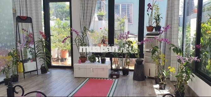Cho thuê nhà nguyên căn phường Tân Định, sát mặt đường Hoàng Sa