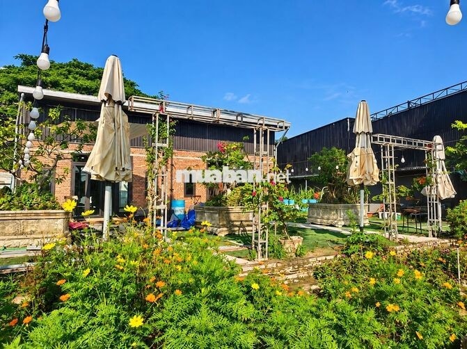 🔥 CHO THUÊ QUÁN CAFE CÓ SẴN & LÔ ĐẤT LIỀN KỀ – BẠCH ĐẰNG 🔥