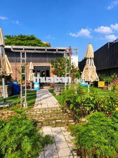 🔥 CHO THUÊ QUÁN CAFE CÓ SẴN & LÔ ĐẤT LIỀN KỀ – BẠCH ĐẰNG 🔥