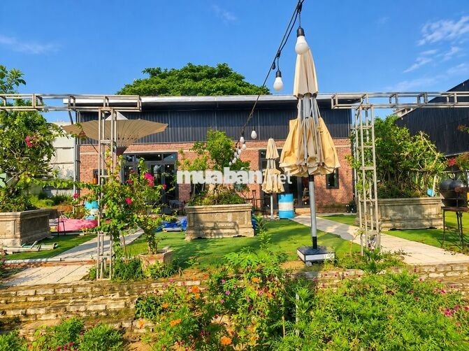 🔥 CHO THUÊ QUÁN CAFE CÓ SẴN & LÔ ĐẤT LIỀN KỀ – BẠCH ĐẰNG 🔥
