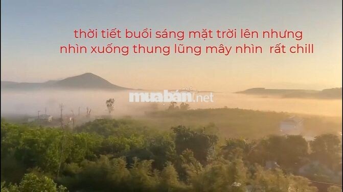800 triệu 850m2 đất ở, ĐT 643, Tuy An Nam (Cao Nguyên Vân Hòa) Đăk Lăk