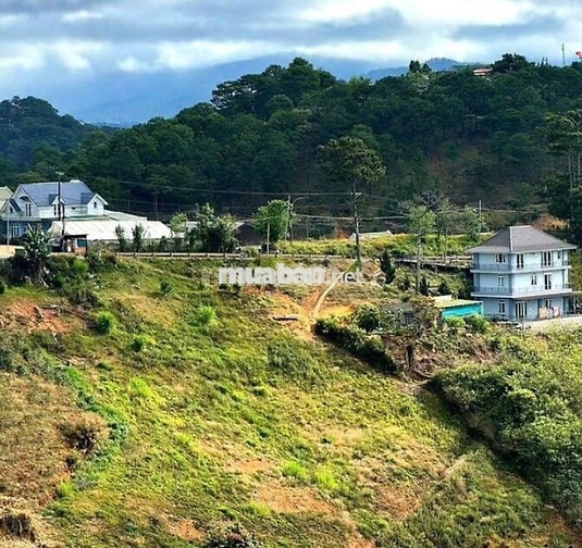 CẦN BÁN ĐẤT NỀN XUÂN THỌ – P. XUÂN TRƯỜNG, ĐÀ LẠT