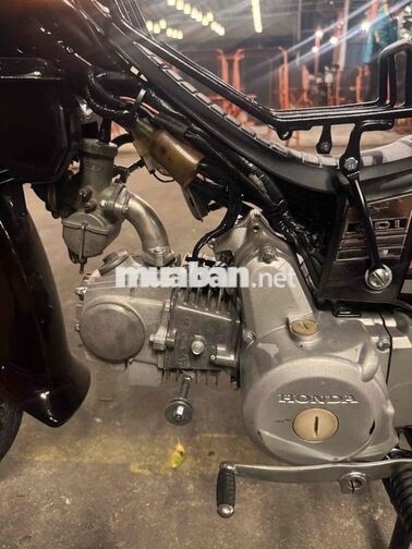 Honda Super Dream màu Đỏ mận