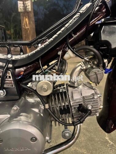 Honda Super Dream màu Đỏ mận