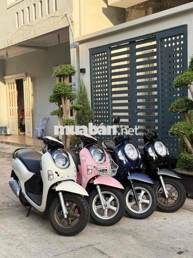 Honda Scoopy 2021 đến 2026
