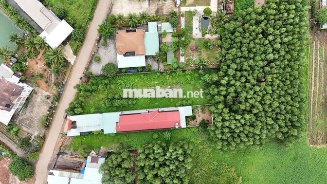 Bán đất 1435m2 mặt tiền đường Khu A Tân Lâm, Xã Đồi 61