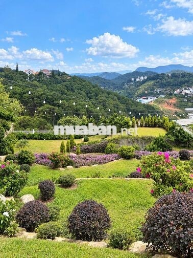 CHO THUÊ VILLA SÂN VƯỜN VIEW RỪNG THÔNG, 3PN - P. XUÂN HƯƠNG ĐÀ LẠT