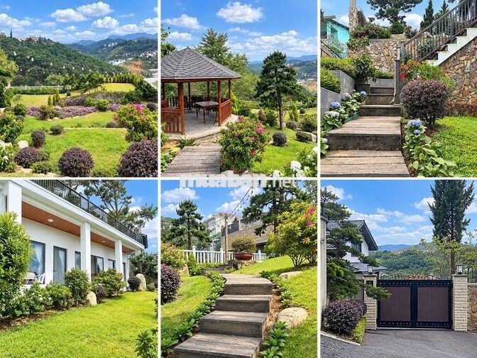 CHO THUÊ VILLA SÂN VƯỜN VIEW RỪNG THÔNG, 3PN - P. XUÂN HƯƠNG ĐÀ LẠT