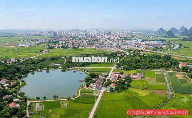 ✈️GẦN MẶT TIỀN ĐT773 SÂN BAY 270M² THỔ CƯ, 2 SỔ KỀ, CHỈ 550 TRIỆU/SỔ