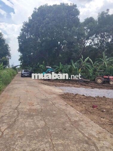 ✈️GẦN MẶT TIỀN ĐT773 SÂN BAY 270M² THỔ CƯ, 2 SỔ KỀ, CHỈ 550 TRIỆU/SỔ