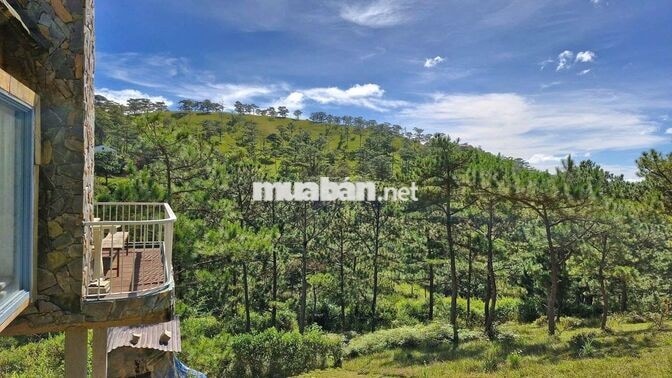 CHO THUÊ VILLA 3PN, PHONG CÁCH GỖ, VIEW RỪNG THÔNG - ANKROET ĐÀ LẠT