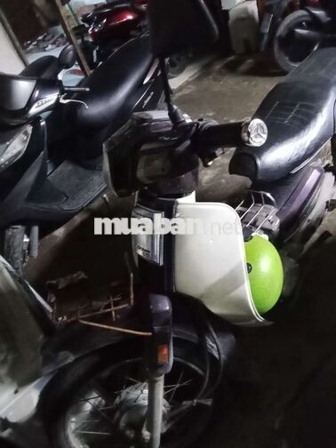 HONDA DREAM TÍM TRẮNG