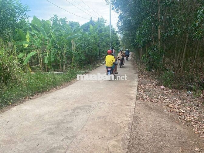 BÁN 1000M2 ĐẤT CÓ SẴN 100M2 THỔ CƯ,DÂN CƯ Ở XUNG QUANH,GIÁ 700T