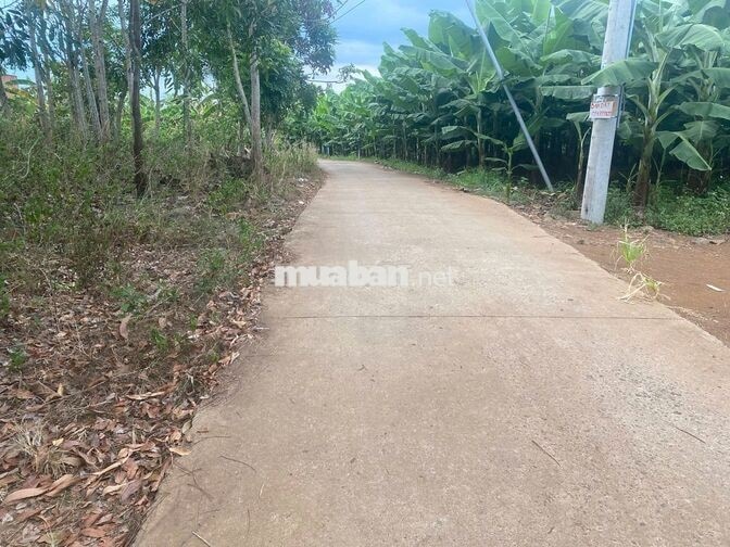 BÁN 1000M2 ĐẤT CÓ SẴN 100M2 THỔ CƯ,DÂN CƯ Ở XUNG QUANH,GIÁ 700T