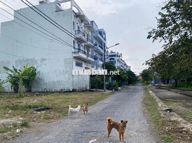 Hàng chính chủ Dì ruột gửi bán, không qua trung gian