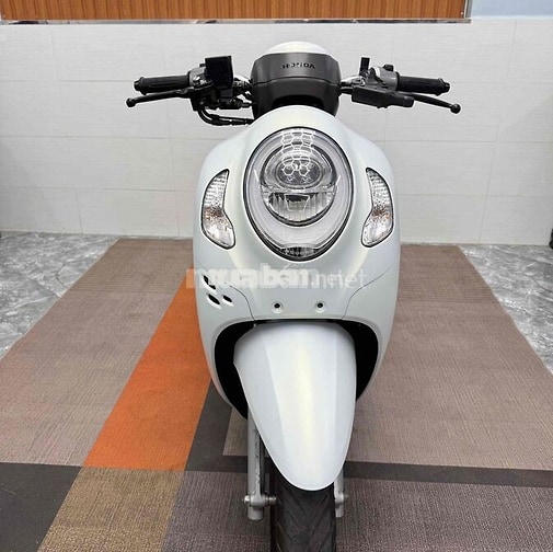 Honda Scoopy 2024 Trắng Nhám Hồ Sơ Cầm Tay