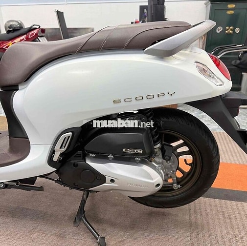 Honda Scoopy 2024 Trắng Nhám Hồ Sơ Cầm Tay