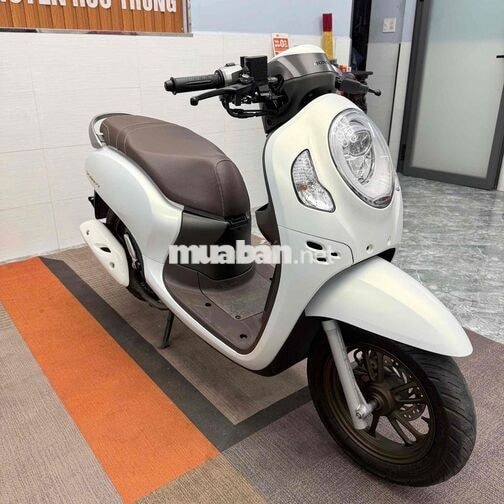 Honda Scoopy 2024 Trắng Nhám Hồ Sơ Cầm Tay