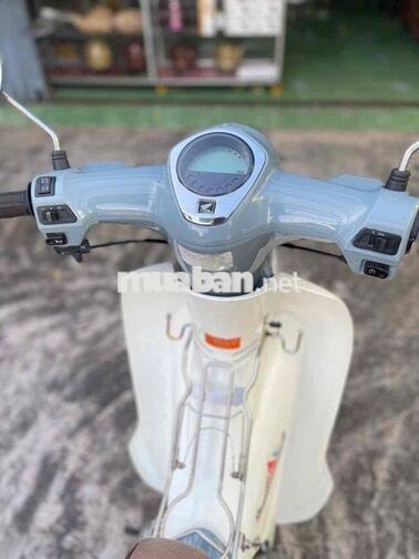 Daelim Cub 50cc Xám trắng