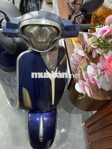 XE MÁY 50CC  ROMA XE XANH