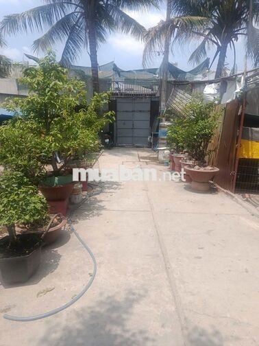 Chính chủ bán đất HXH Bình Thành, Bình Tân, dt 62,2m2, giá 3.4 tỷ