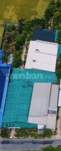 BÁN NHÀ VÀ ĐẤT 2700m2 TÂN HÒA - PHÚ TÂN - AN GIANG