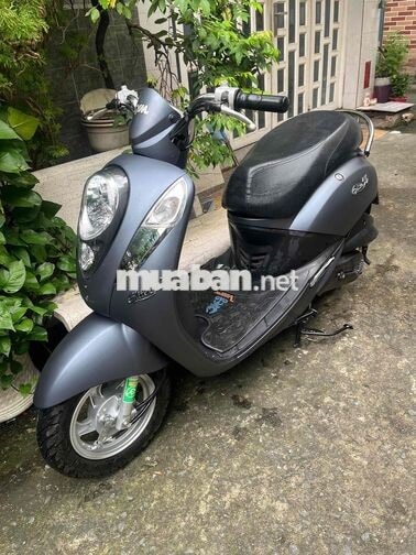SYM Elite 50cc màu Xám