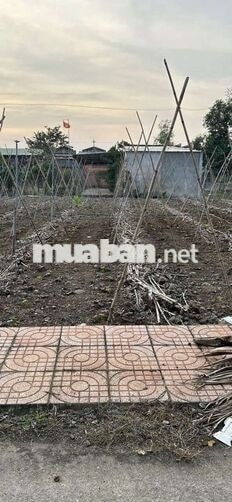🔥 Cần bán gấp lô đất 134.9m², Xuân Đông, Cẩm Mỹ, Đồng Nai