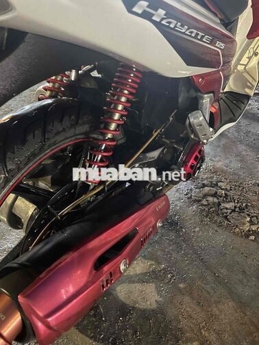 Suzuki Hayate độ kiểng BS 64H1