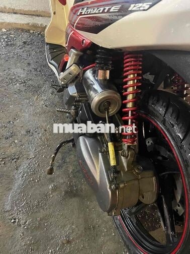 Suzuki Hayate độ kiểng BS 64H1