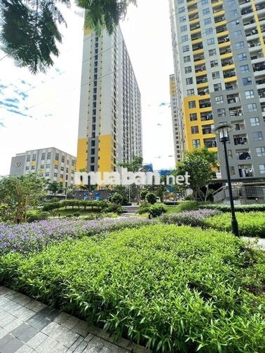 Cho thuê Bcons Avenue Dĩ An – Căn 2PN 59m² – Giá 5,5 triệu/tháng.