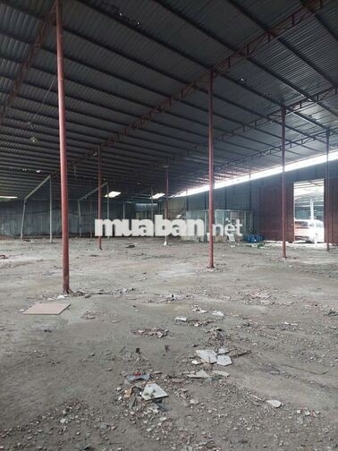 Cho thuê kho xưởng MT Lê Trọng Tấn 1600m2 - HHMG