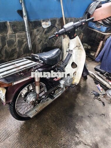 Honda Dream TQ màu Đỏ mận