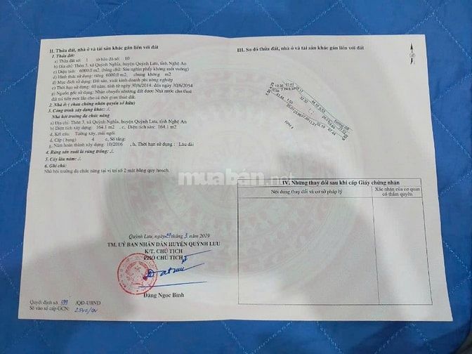 BÁN 6000m2 ĐẤT KHU MẶT BIỂN Quỳnh Nghĩa, Quỳnh Lưu, Nghệ An.
