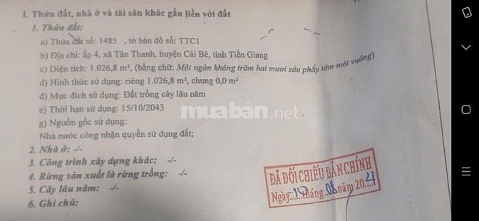 Đất mặt tiền 1000m2 Quốc lộ 30 Cái Bè - Tiền Giang