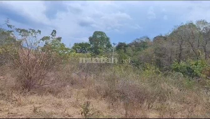 BÁN ĐẤT GIÁ RẺ 2.000m² – CAM PHƯỚC ĐÔNG, TP. CAM RANH, KHÁNH HÒA 