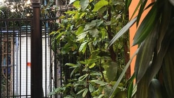 Nhà mới xinh có sân hẻm Hoàng Hoa Thám P7 Bình Thạnh Nhà mới xinh có sân hẻm Hoàng Hoa Thám P7 Bình Thạnh