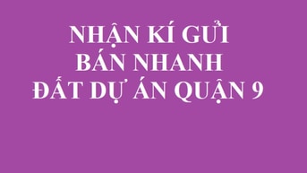 Đất nền dự án Sở Văn Hóa giá không thể tốt hơn Đất nền dự án Sở Văn Hóa giá không thể tốt hơn