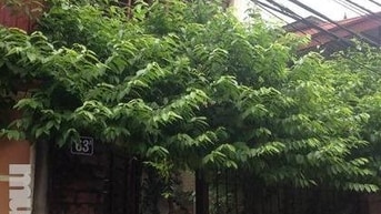 Cho thuê nhà 63A ngõ 293 Ngọc Thụy - Long Biên - HN Cho thuê nhà 63A ngõ 293 Ngọc Thụy - Long Biên - HN